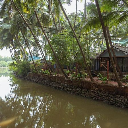 Palm Trees Ayurvedic Heritage Patnem Beach Bagian luar foto